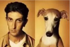 對于狗狗的這些秘密，您知道多少？